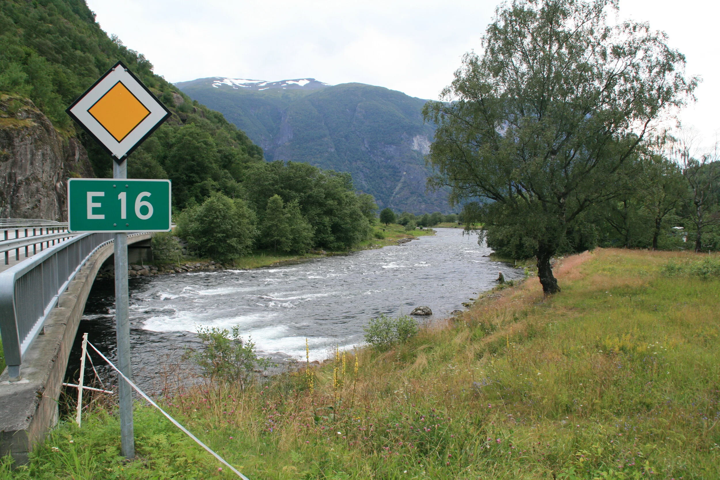 Sjøaurefiske i Aurlandselvi