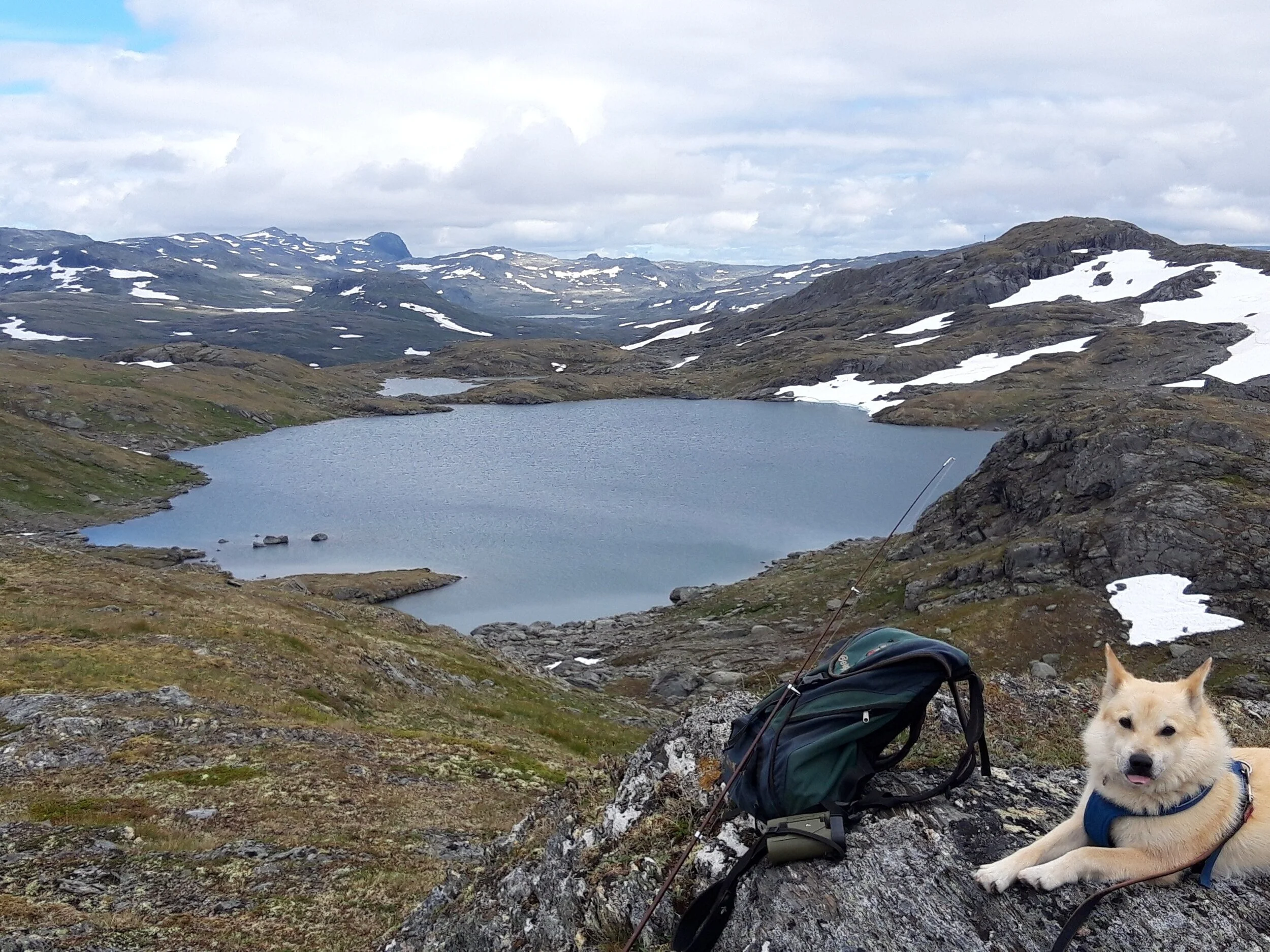 Isfrie vatn, grei vasstemperatur