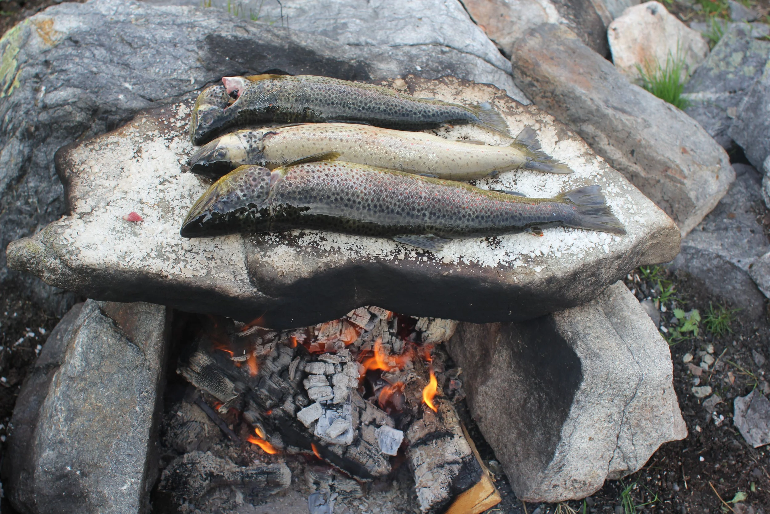 Fine fiskedagar for skuleklassar
