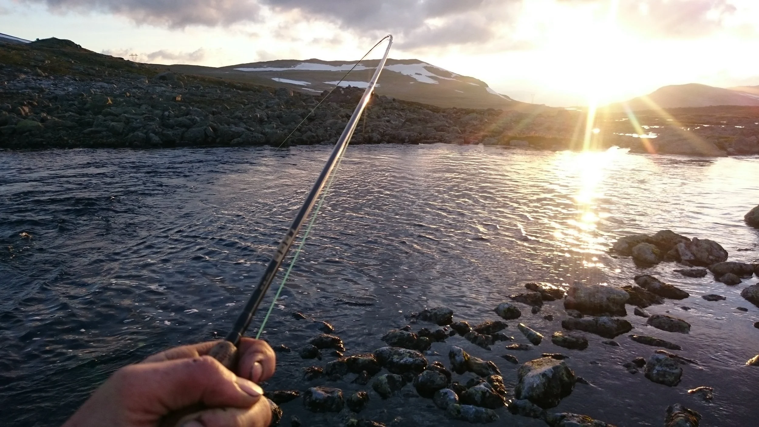 Over 2 tonn fjellaure fiska