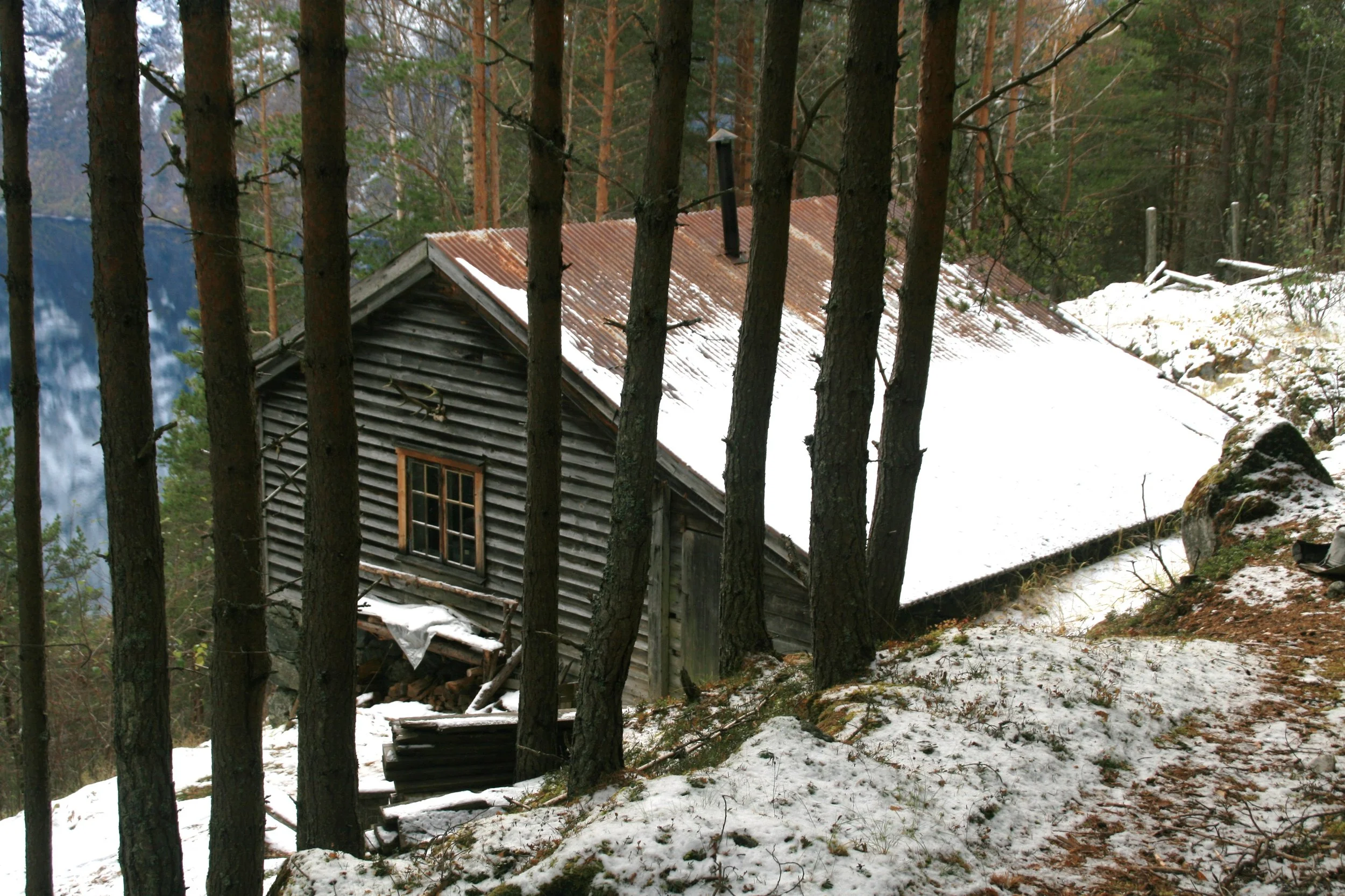 Jaktfelt for hjort vert utlyst for to år