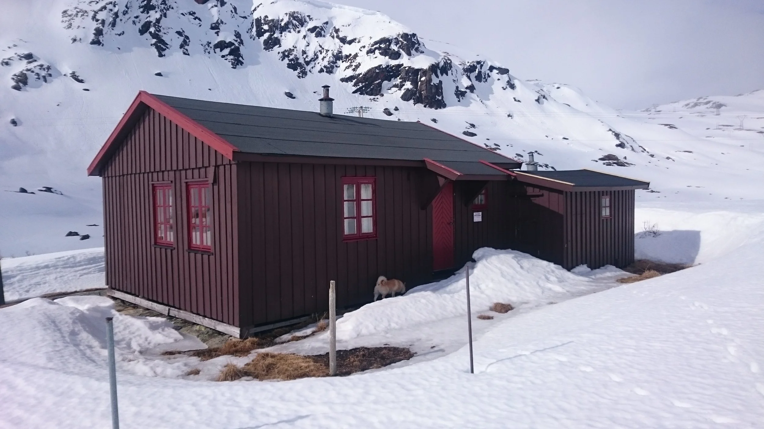 Fjellstyrehytte opna for utleige