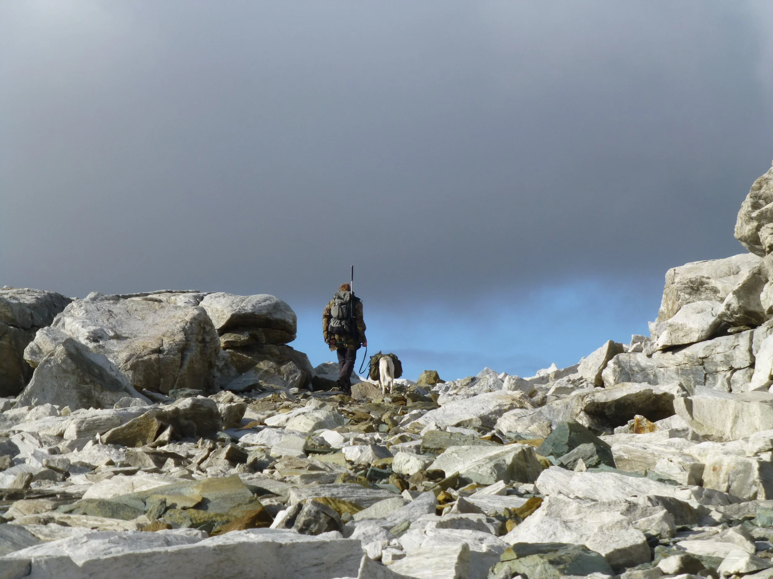 Fellingsløyva for reinsjakta 2022 er trekte