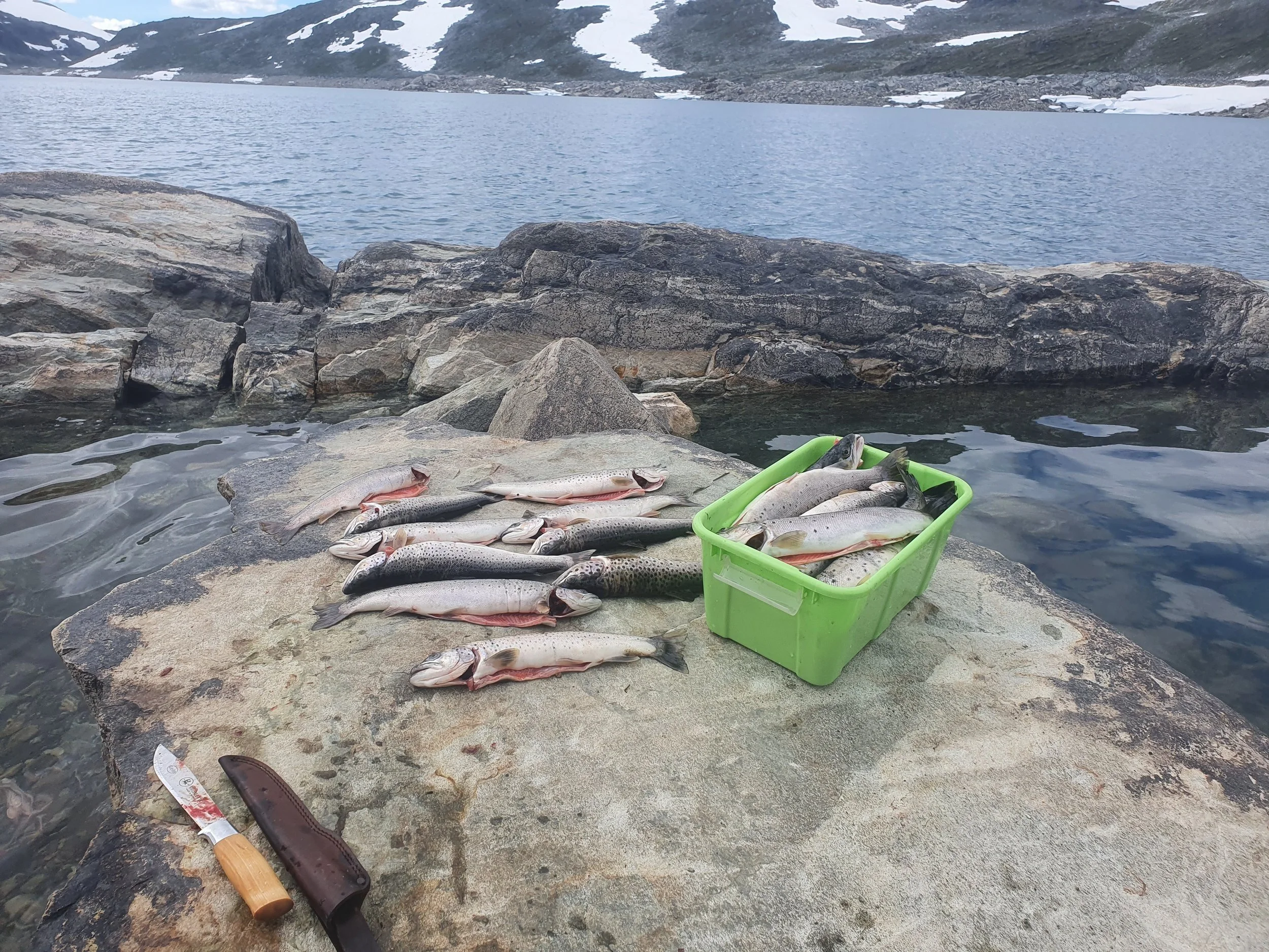 Bra start på fjellfiskesesongen