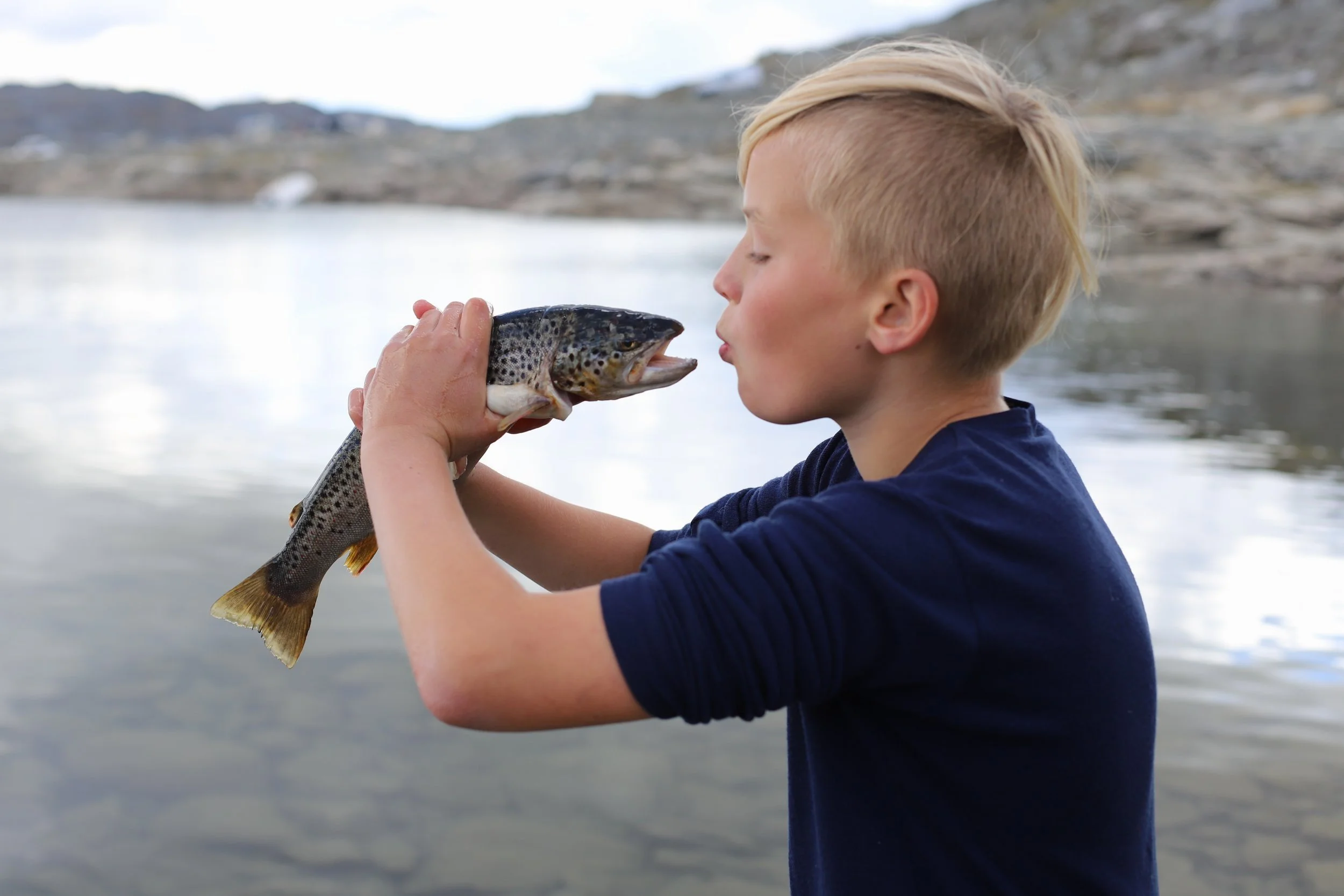 VINNAR AV VIDEOTEVLING