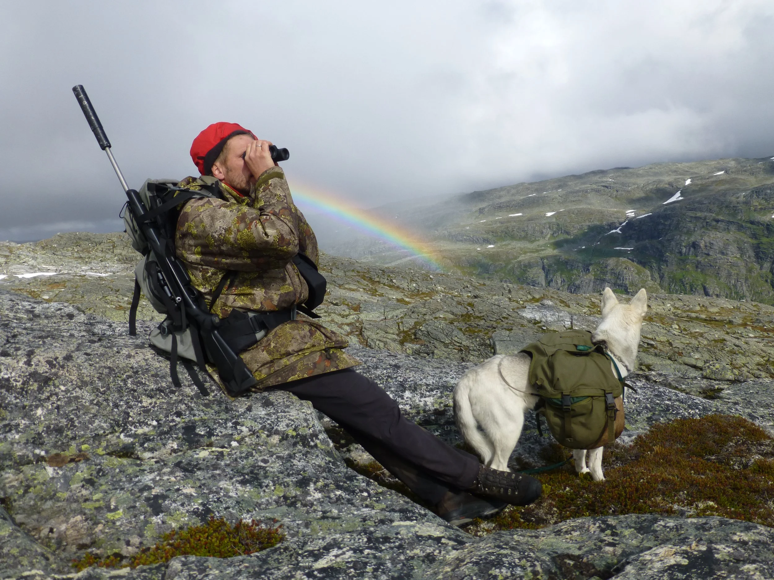 Fellingsløyva for rein er trekte