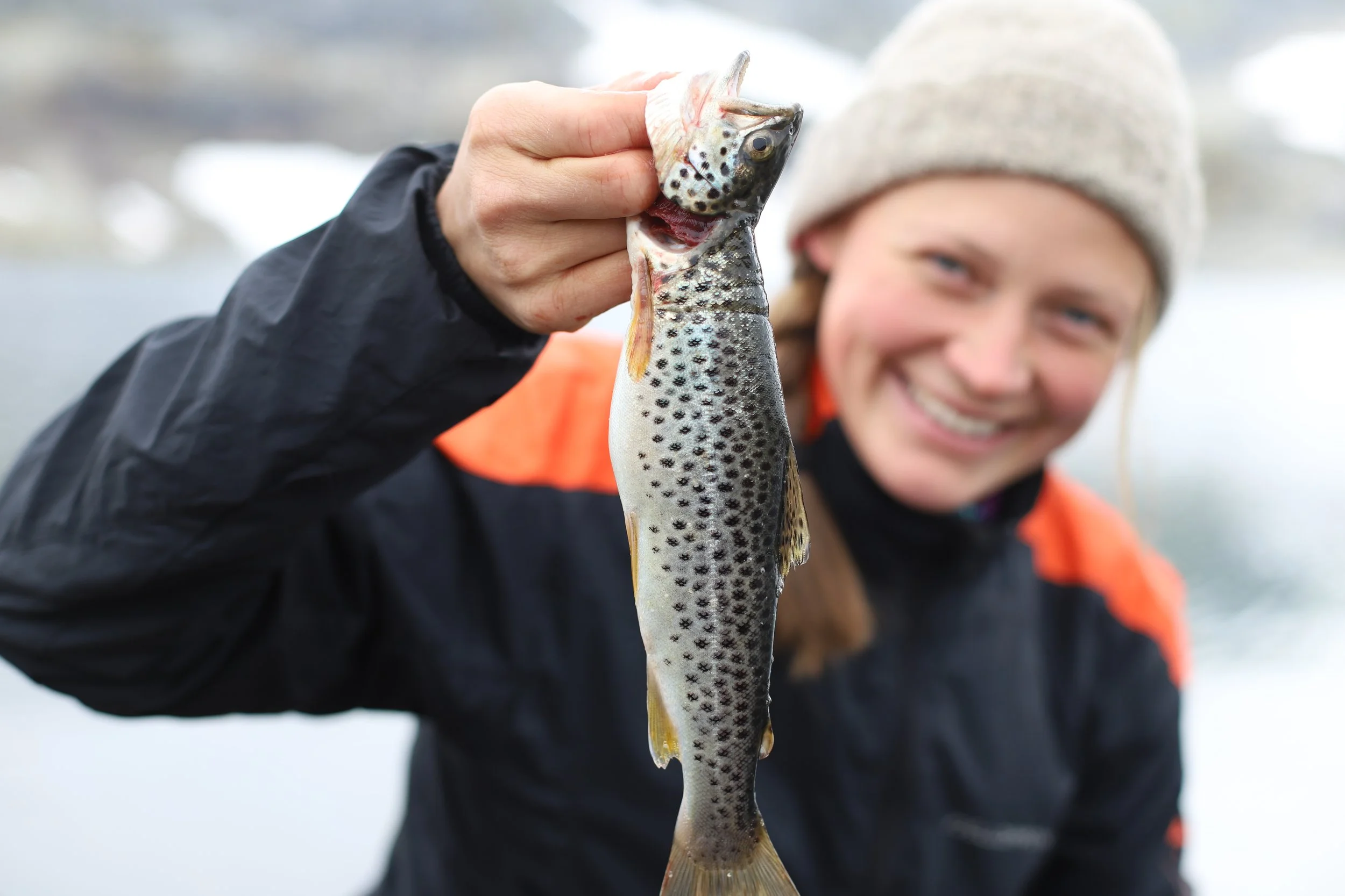 (Garn)fiskehelg på Steinbergdalshytta 9. og 10. august