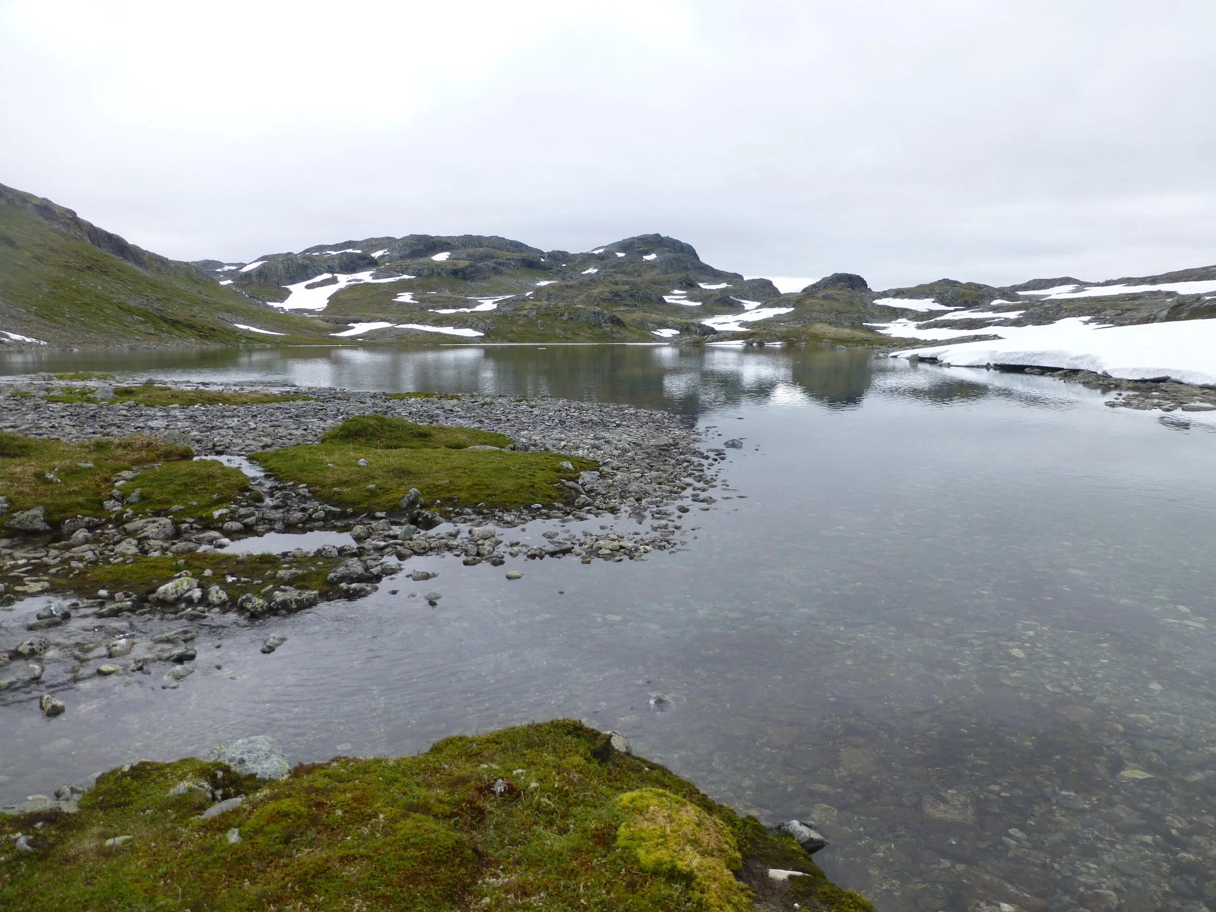 Fjellstyret sin forvaltingsplan ute på høyring
