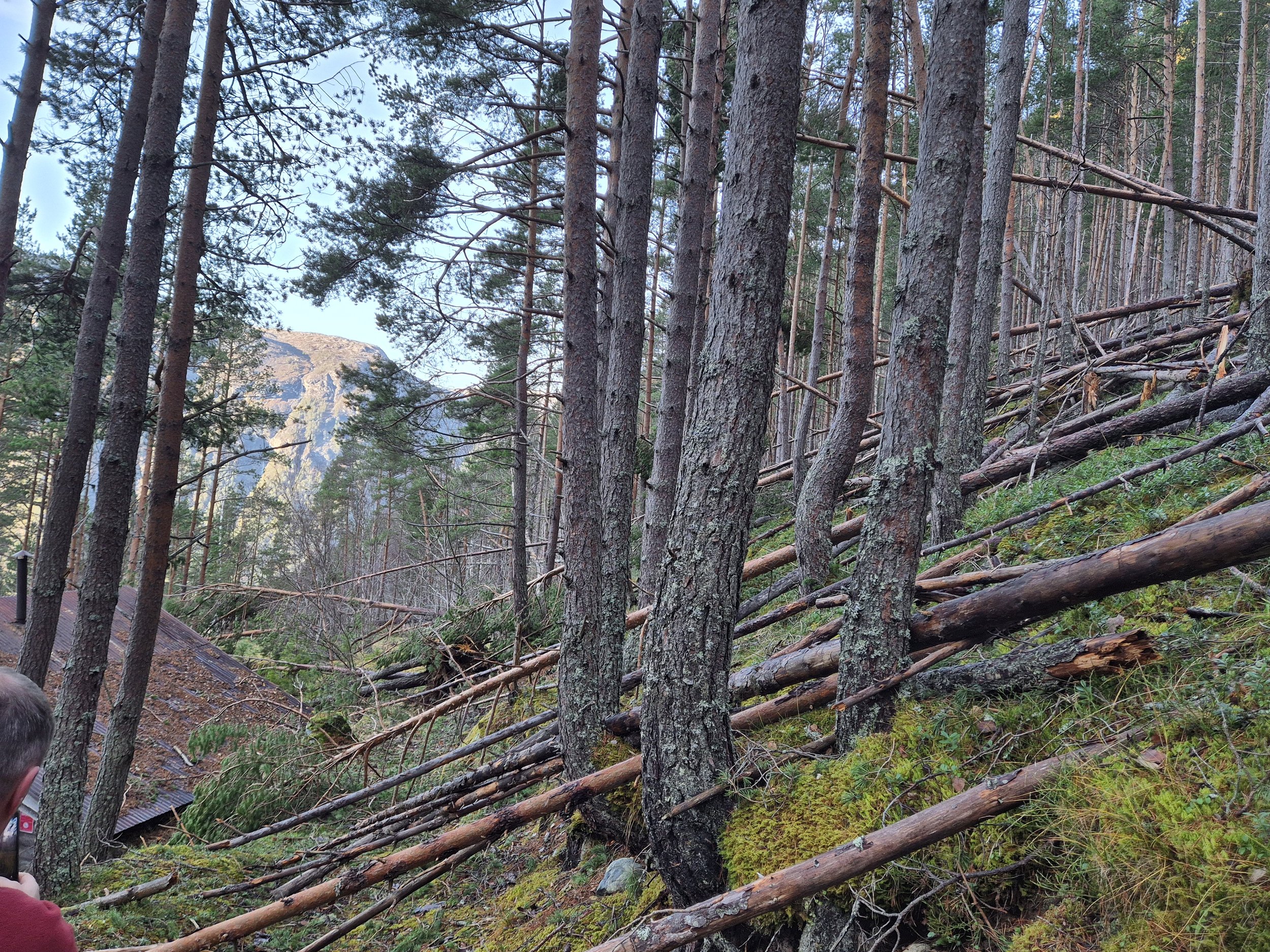 Foto Bjørn Ebne.jpg