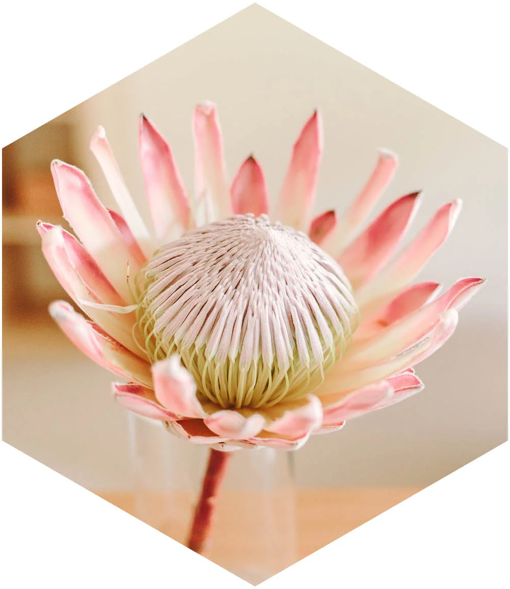 Samantha_Dhu_Counselling_Therapy_Perth_Depression_Therapist_Anxiety_Counsellor_Teen_Counsellor_Therapist_Perth_About_Reassurance.jpg