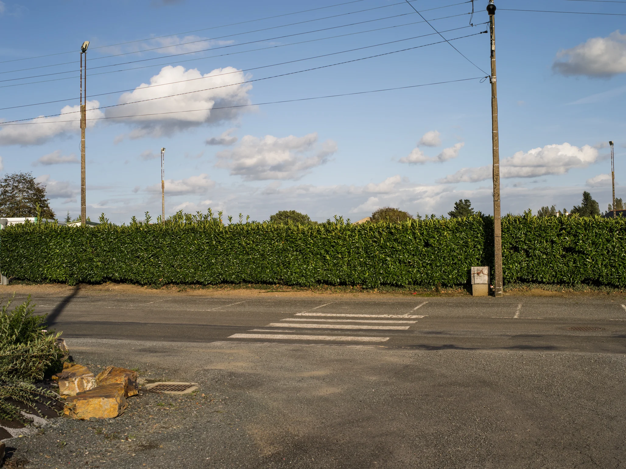 _IGP0289.jpg