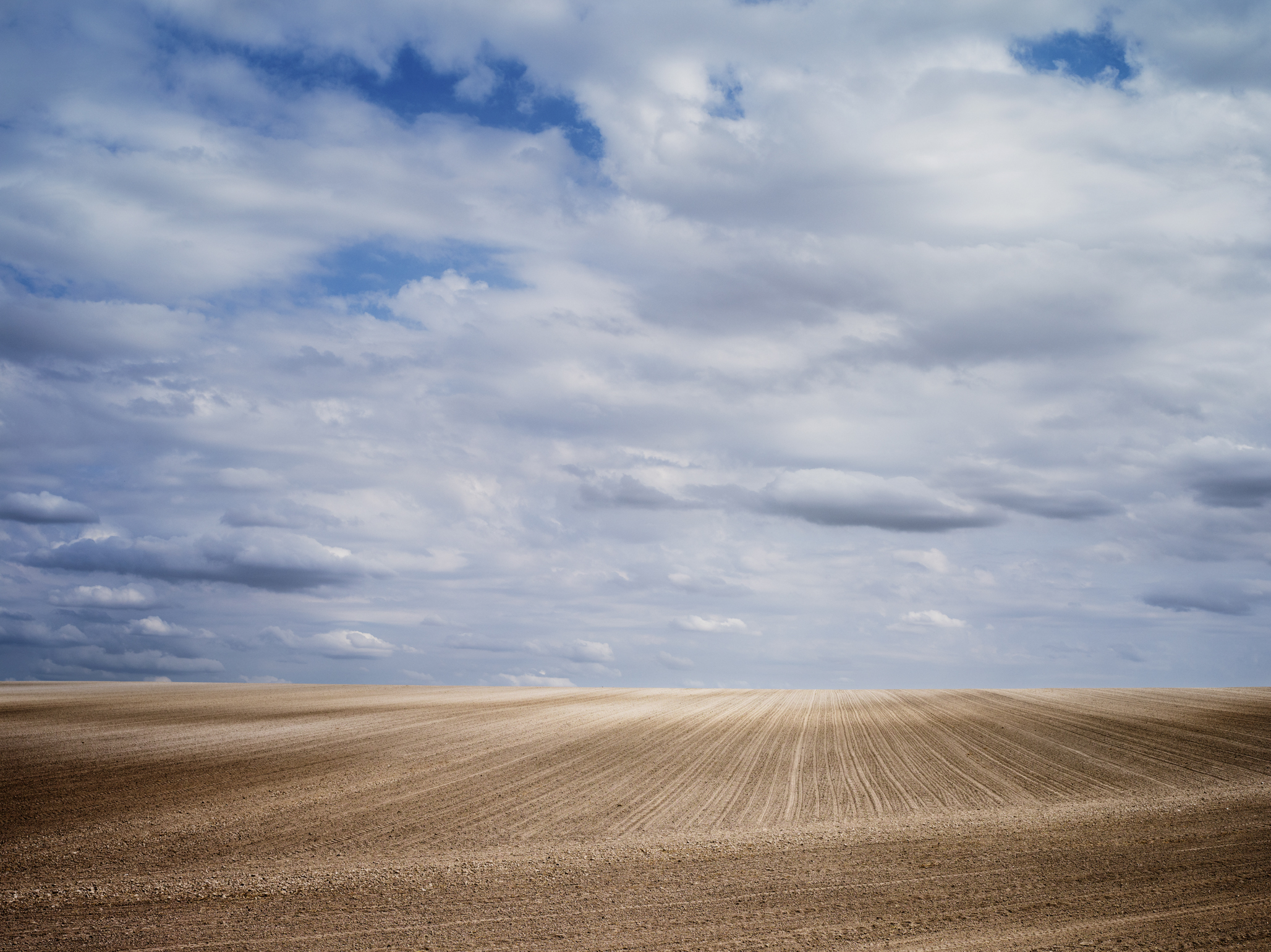_IGP7892028.jpg