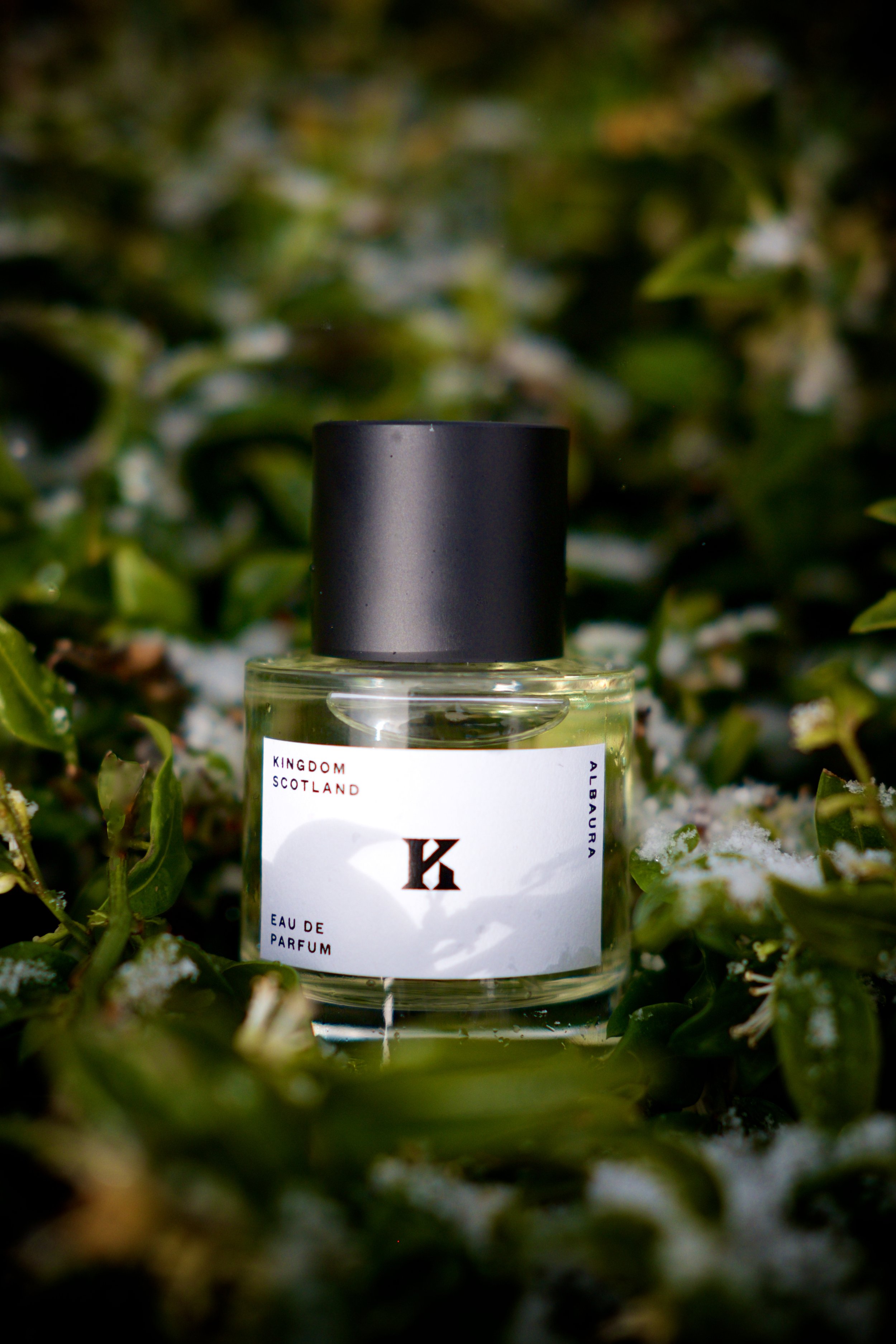 Kingdom Scotland Albaura perfume — Kingdom Scotland
