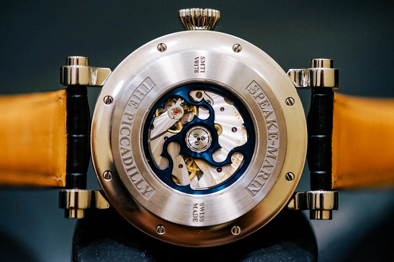 PSM_Velsheda_Caseback