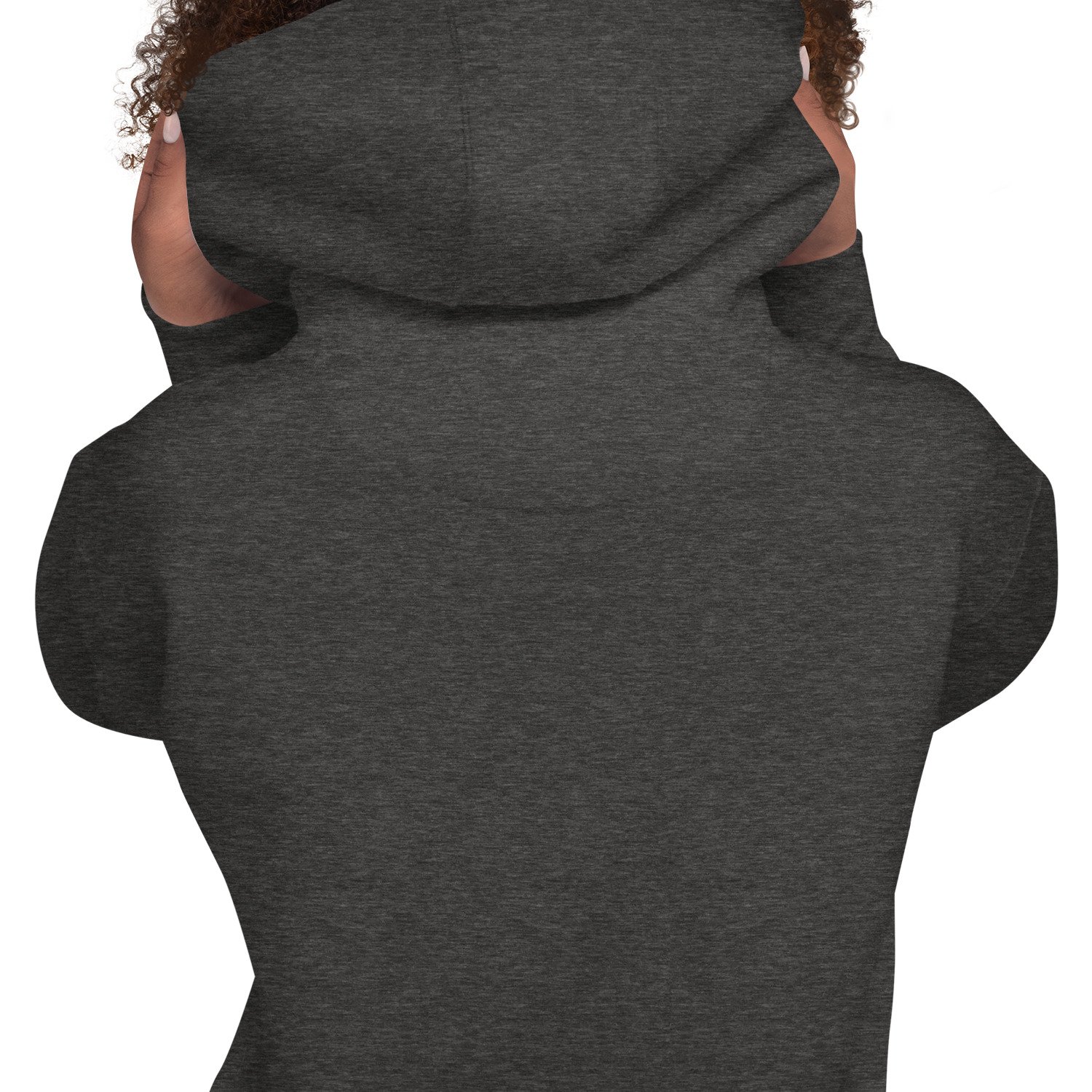 unisex-premium-hoodie-charcoal-heather-zoomed-in-6691cea6c6b1f.jpg