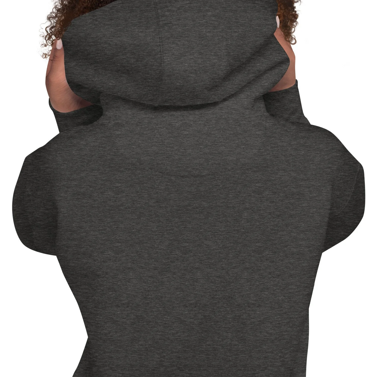 unisex-premium-hoodie-charcoal-heather-zoomed-in-6691cec75ef0c.jpg