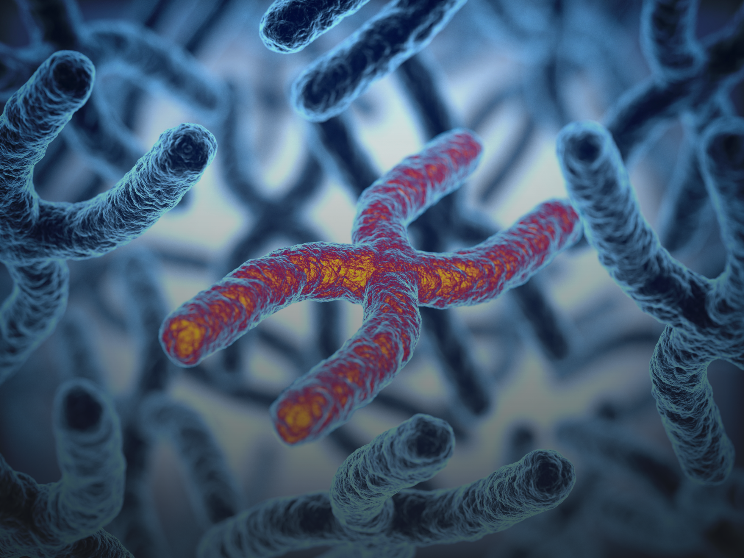 QTRACE® MONITORING FOR CHIMERISM