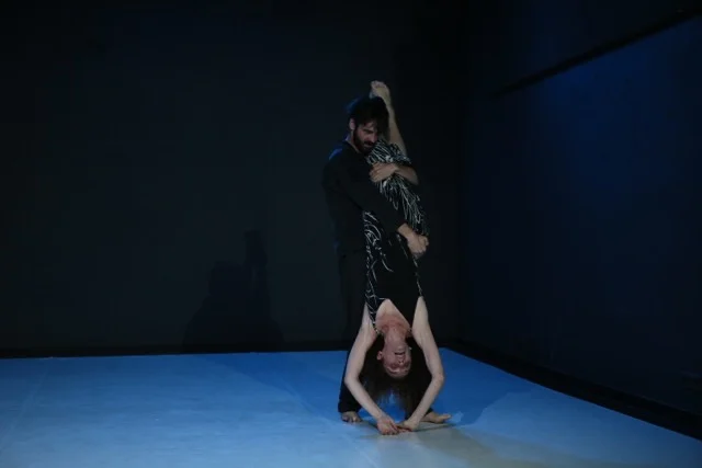 Fotografía Mireia Plans