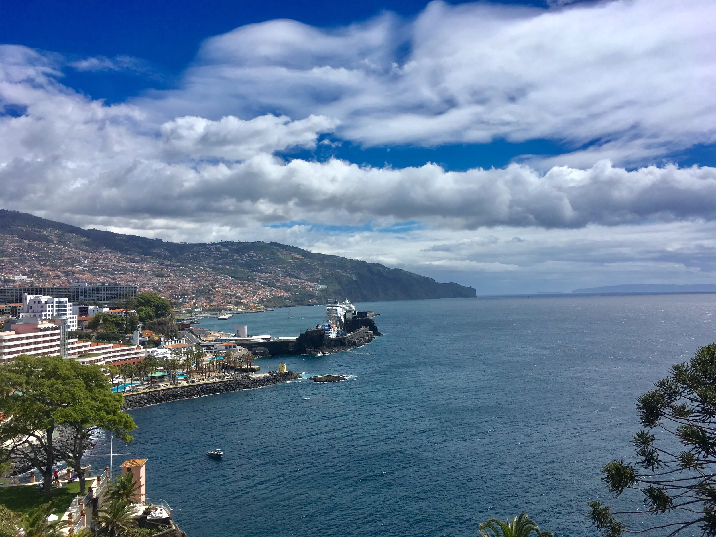 MSC OPERA in Funchal harbour, from Reids Hotel terrace.
