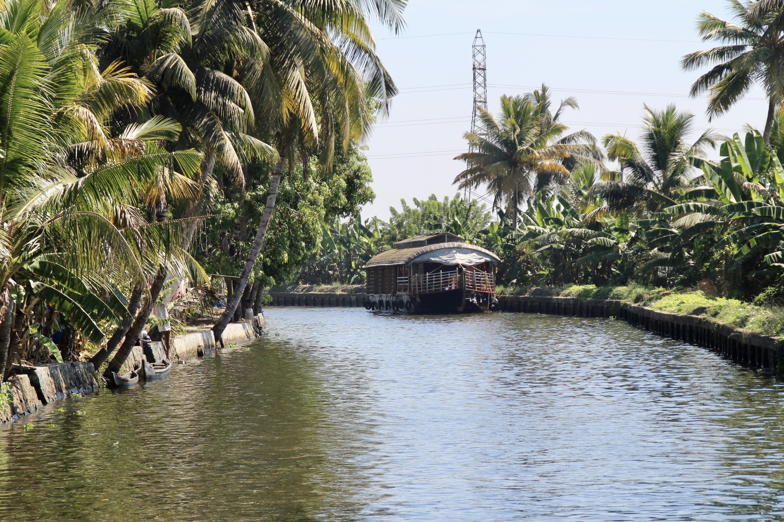 One of the shady backwaters that we cruised as we ate our lunch