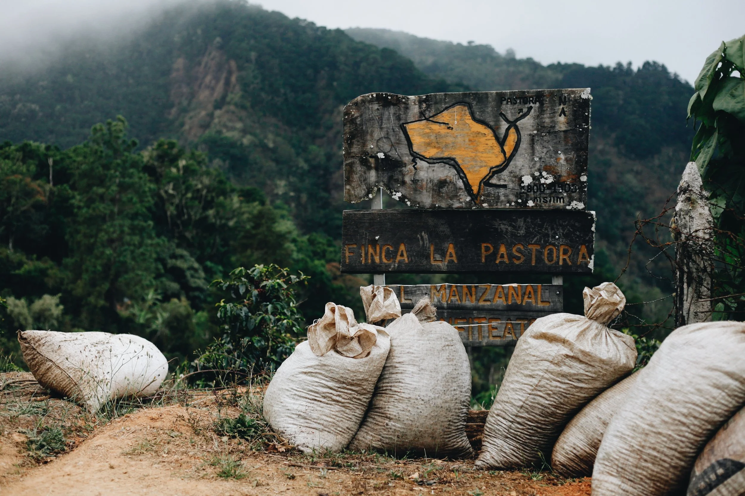 Introducing ... Oh! Coffee!