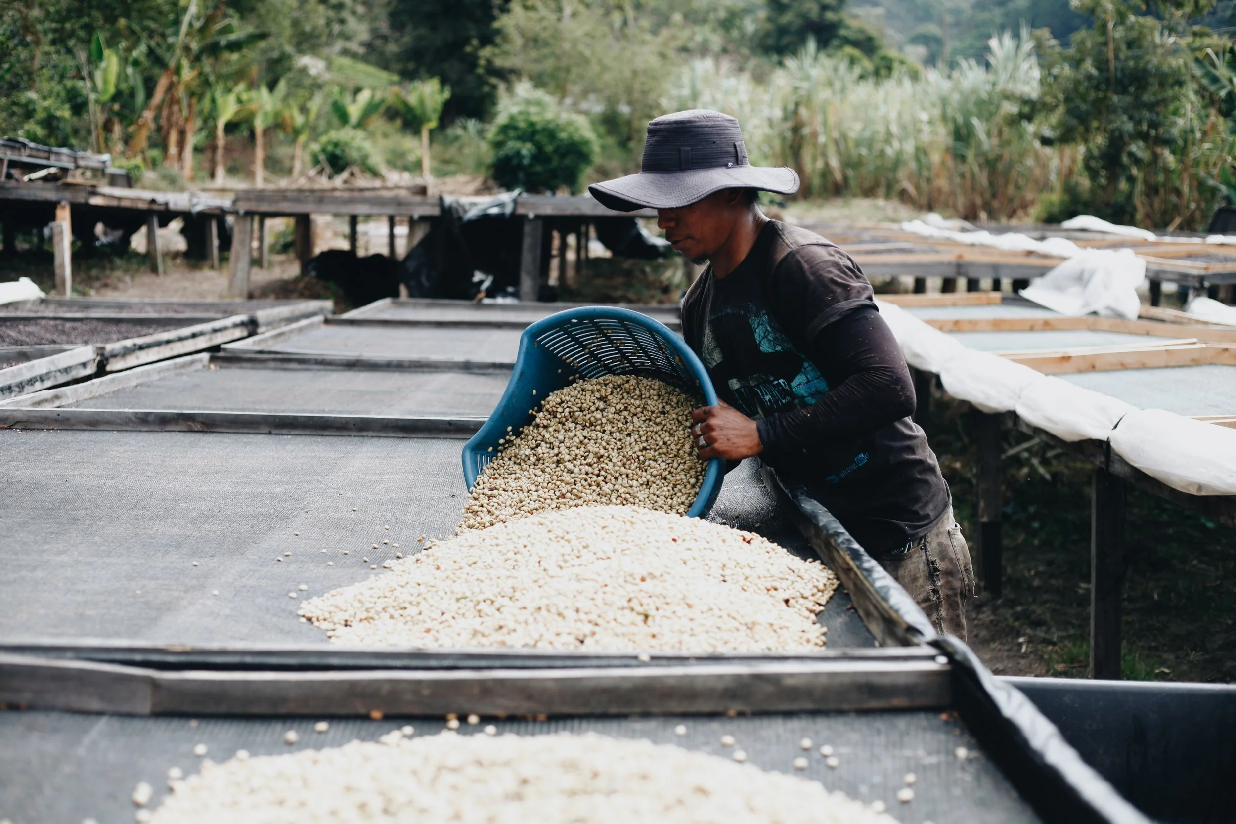 Copy of IMG_0299.JPEG