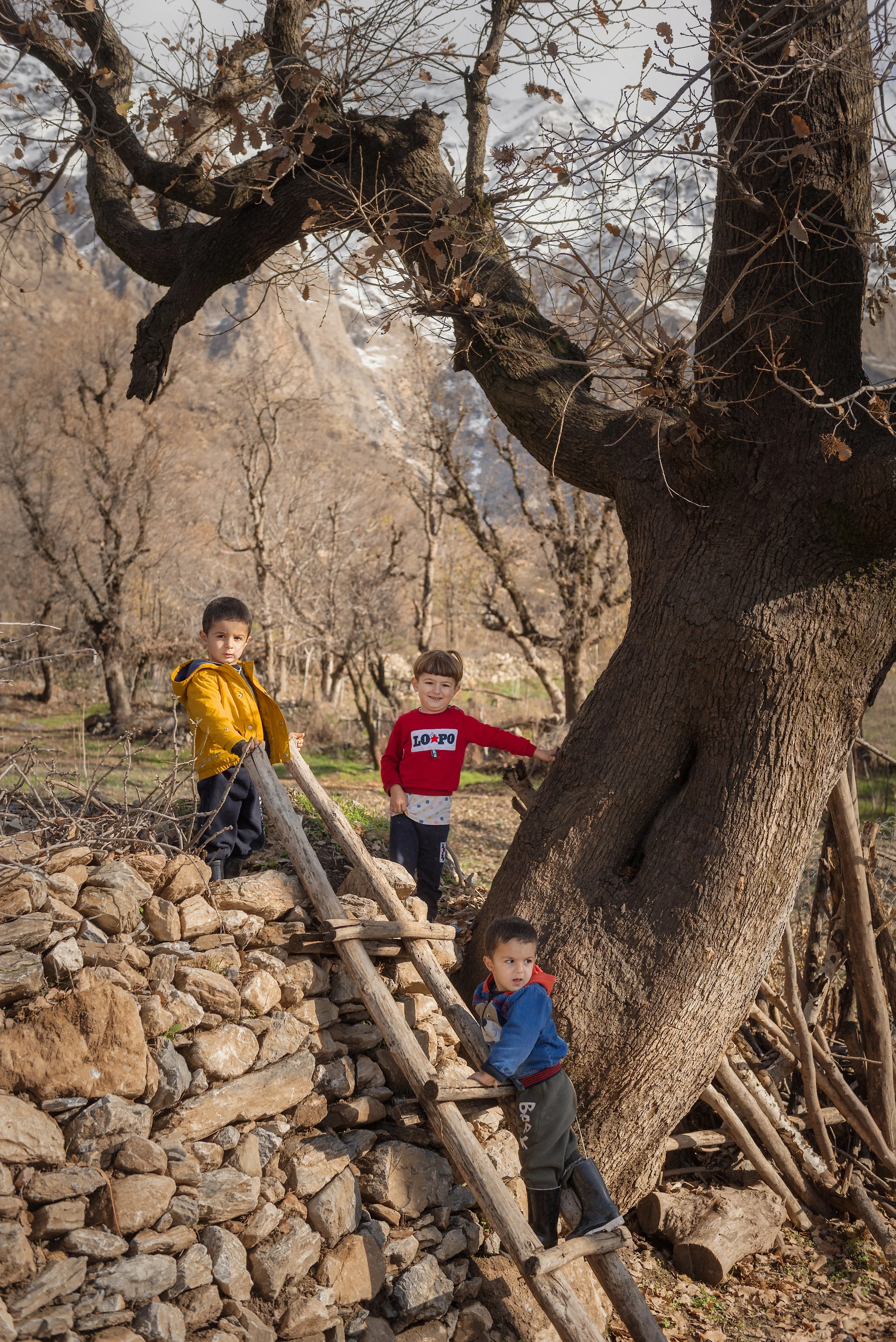 Kurdistan, 2018