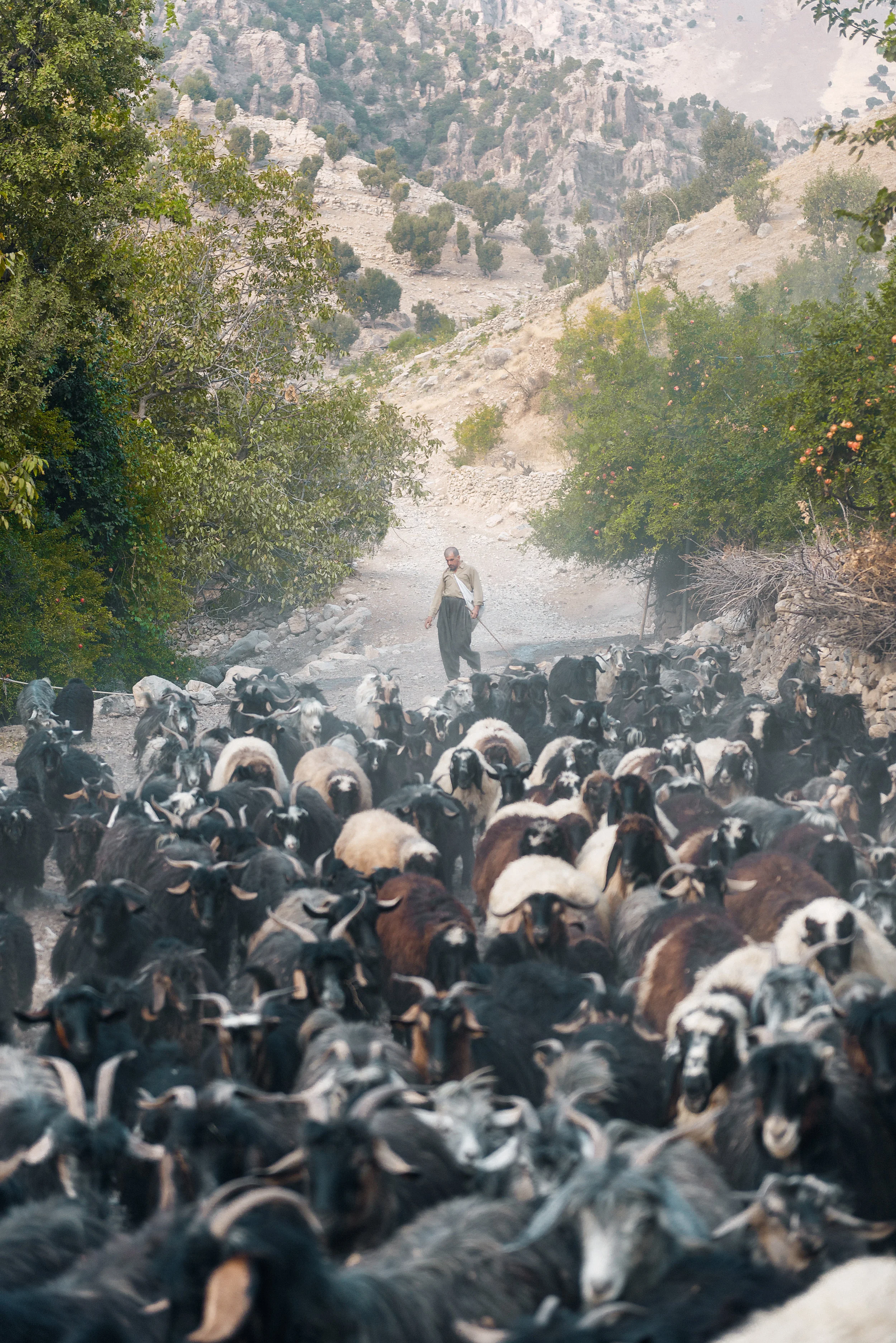 Kurdistan, 2018