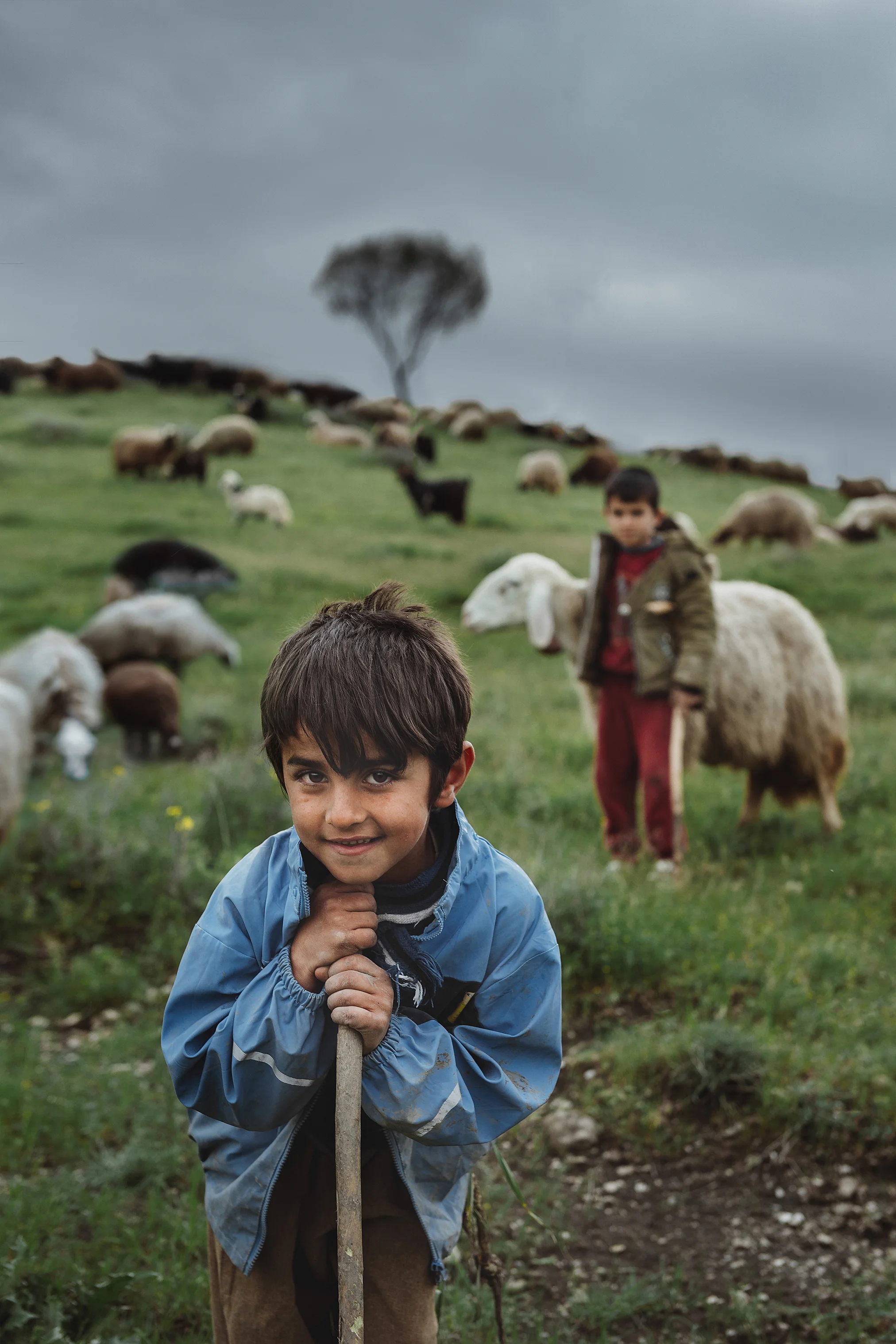 Kurdistan, 2019