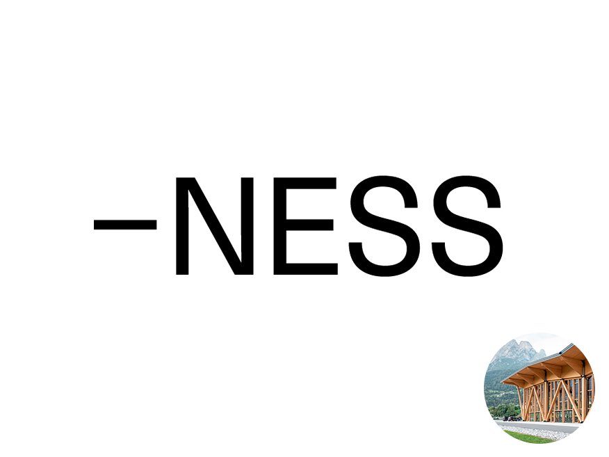 Palaluxottica su Ness Magazine