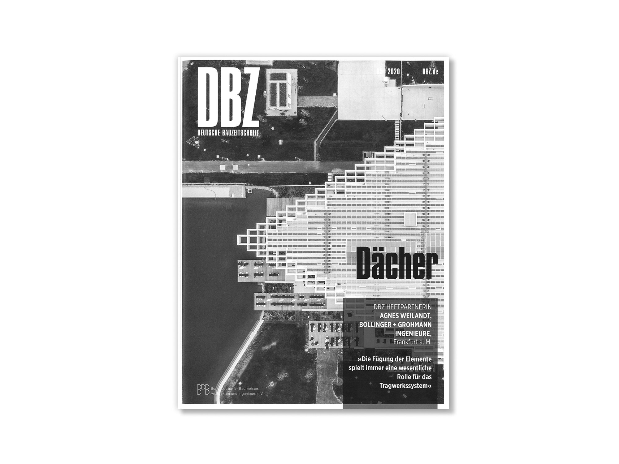 DBZ_Cover_edited BN.png