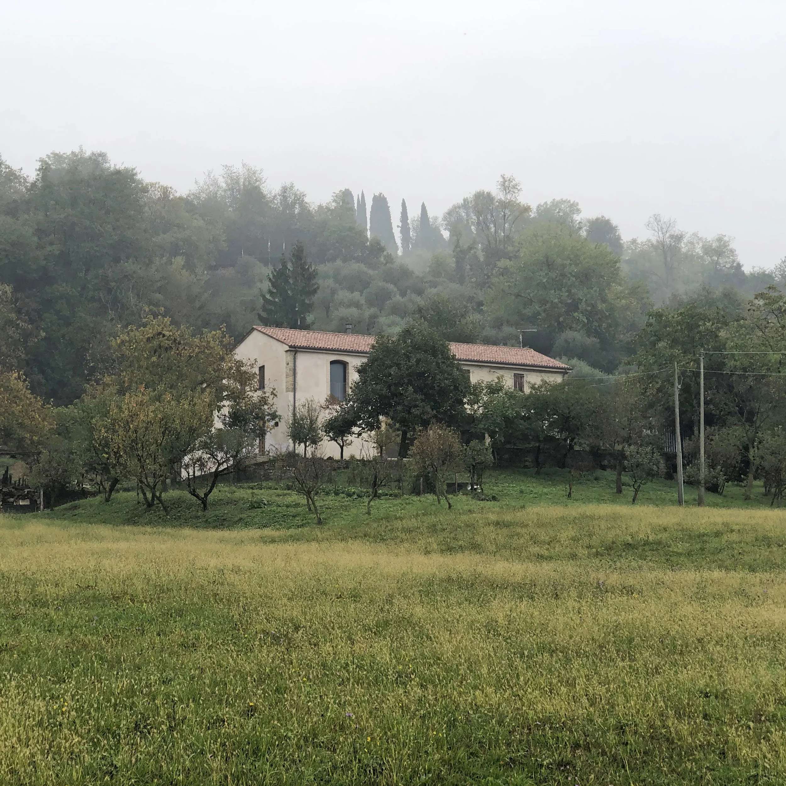 Cover Zilio.jpg