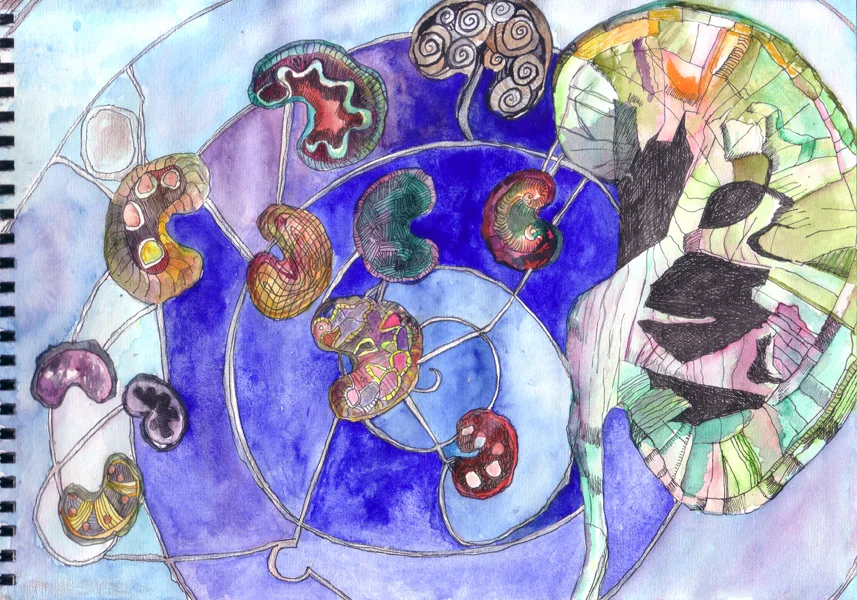 22.  kidney slices  deep cleansing.jpg