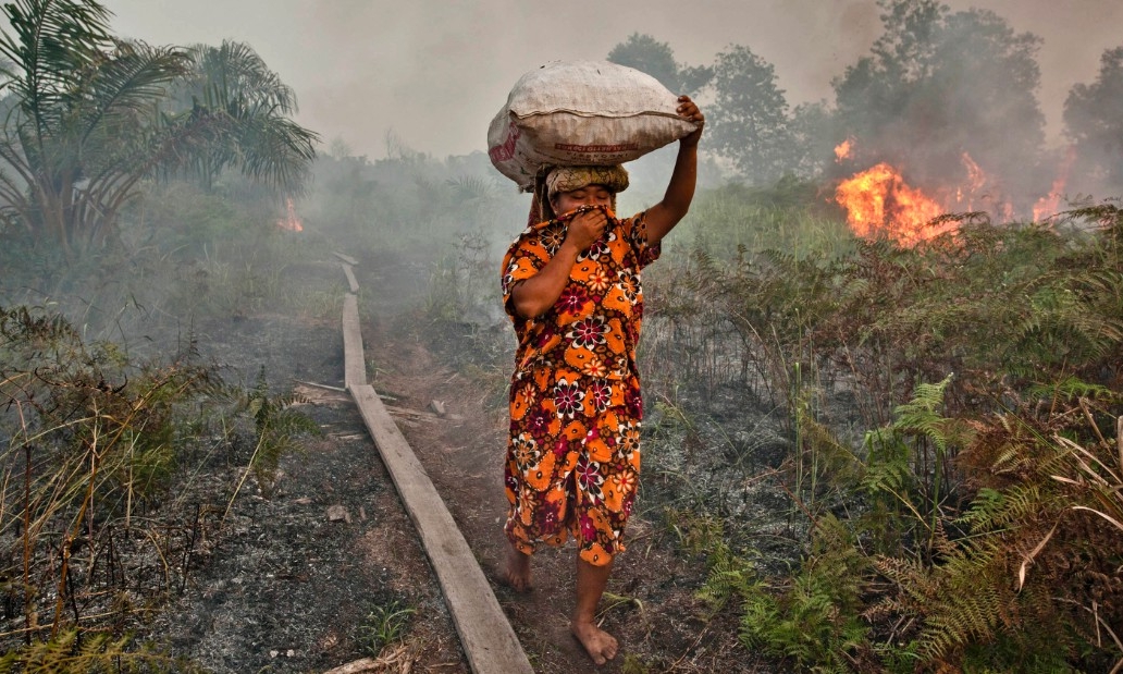 Smog engulfs the forest as an annual slash and burning starts. (Image Source: CNN)