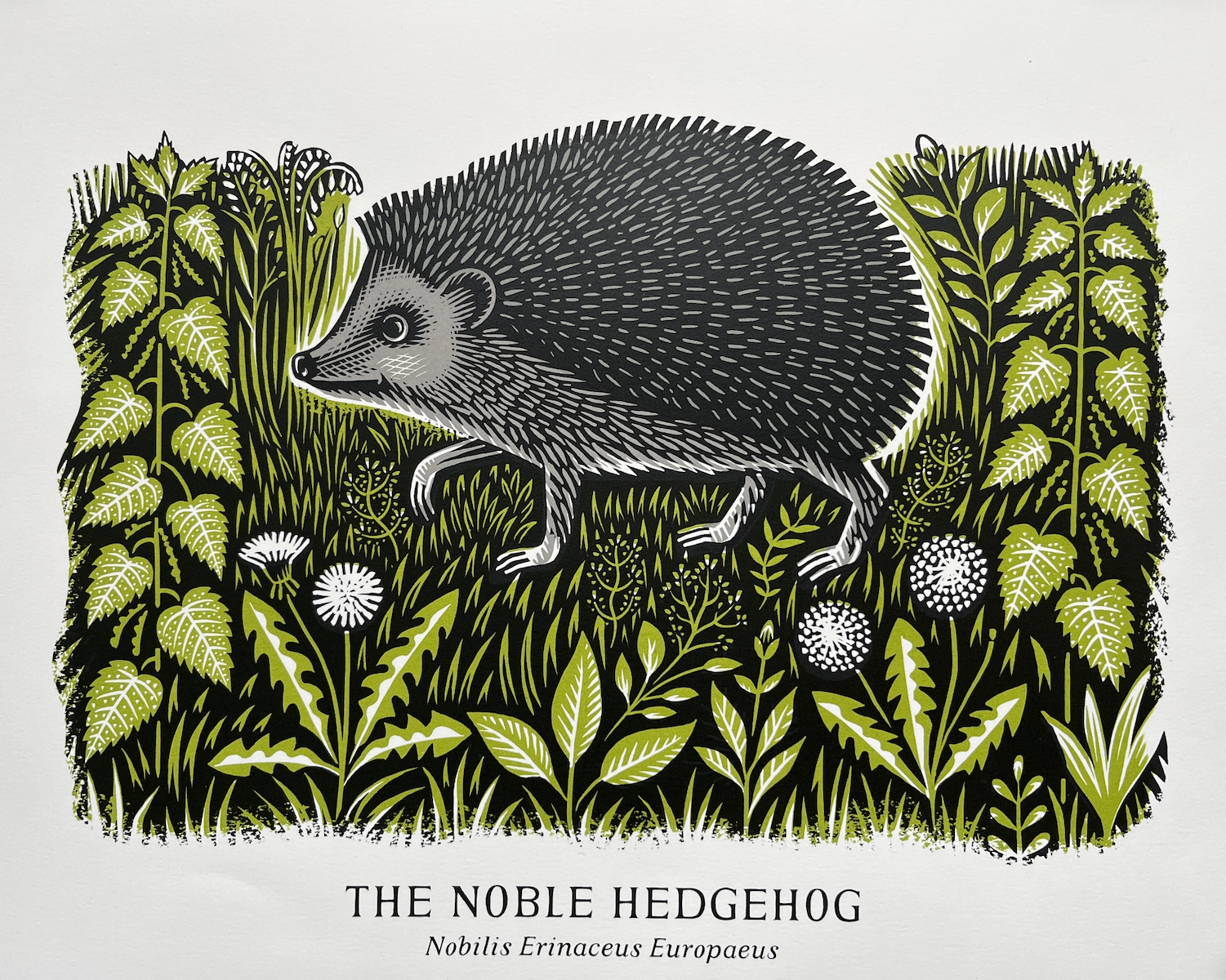 Screen printed at Edinburgh Printmakers