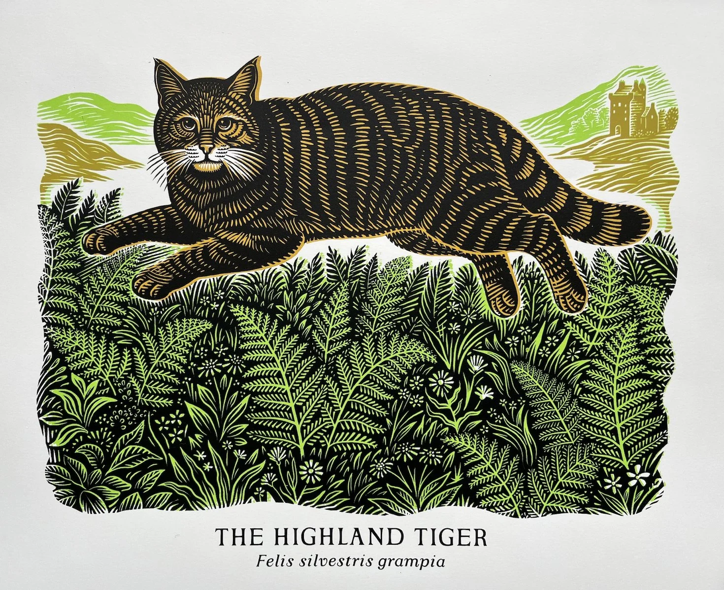 Wildcat Screen Printed at Edinburgh Printmakers