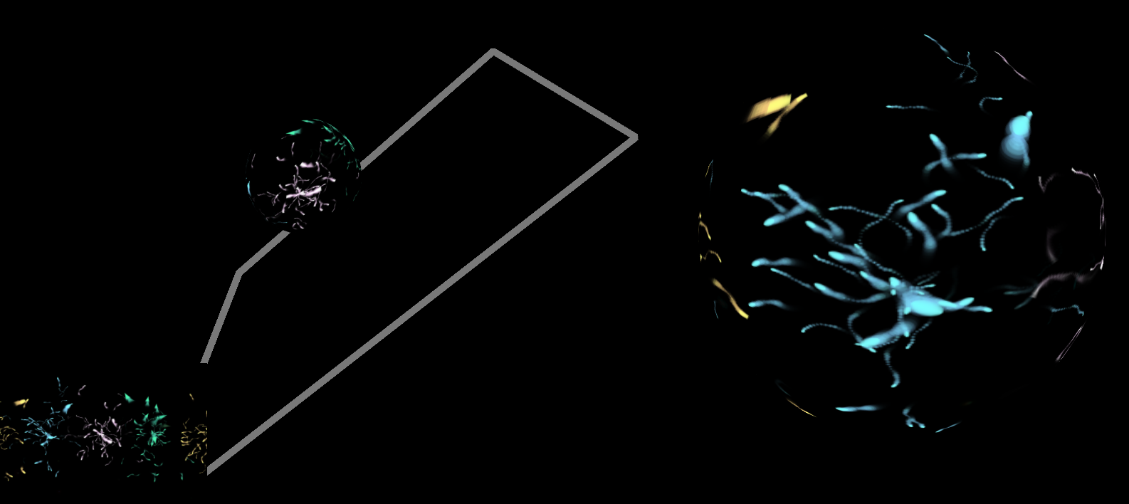experiment1.png