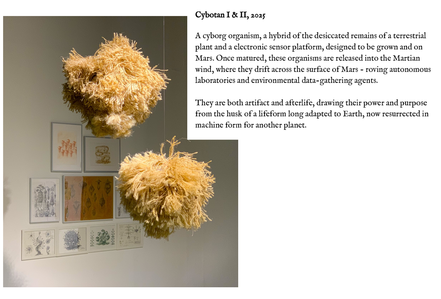 Screenshot 2026-01-18 at 9.58.33 AM.png