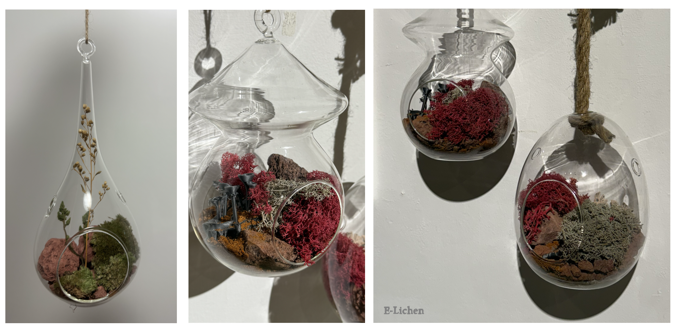 Screenshot 2026-01-18 at 10.00.11 AM.png