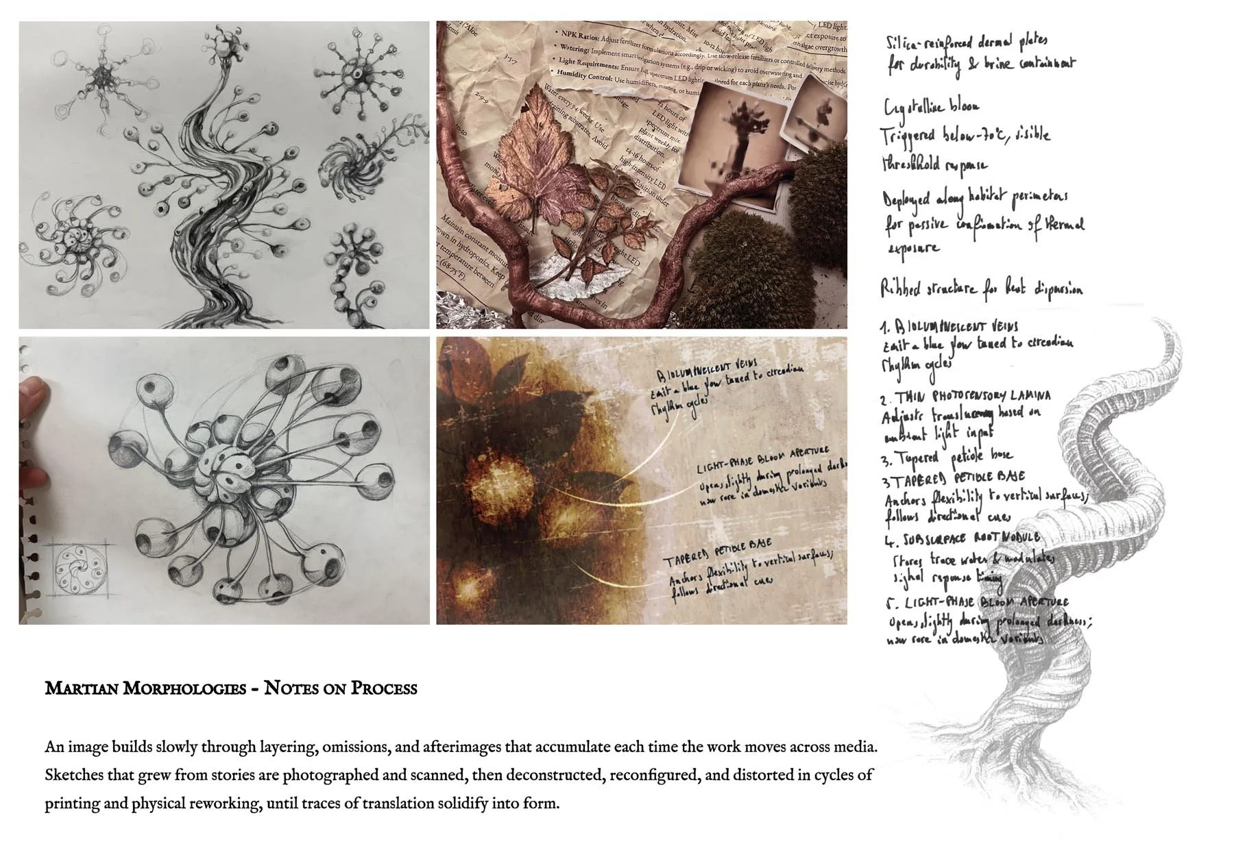 Screenshot 2026-03-01 at 6.03.06 AM.jpg