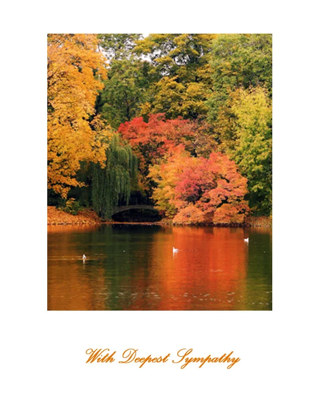SY09-1fall.jpg