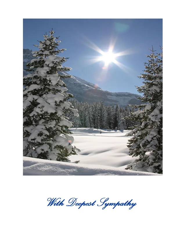 SY09-1winter.jpg