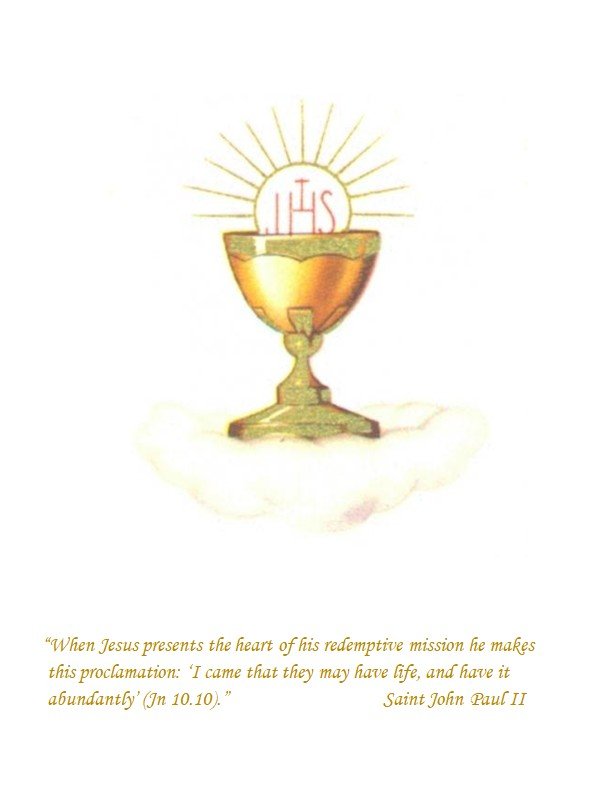 CA-0203 Inside Left.jpg