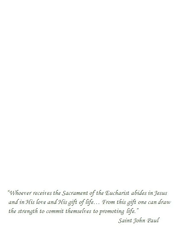 CA-0235 Inside Left.jpg