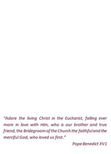 CA-0331 Inside Left.jpg