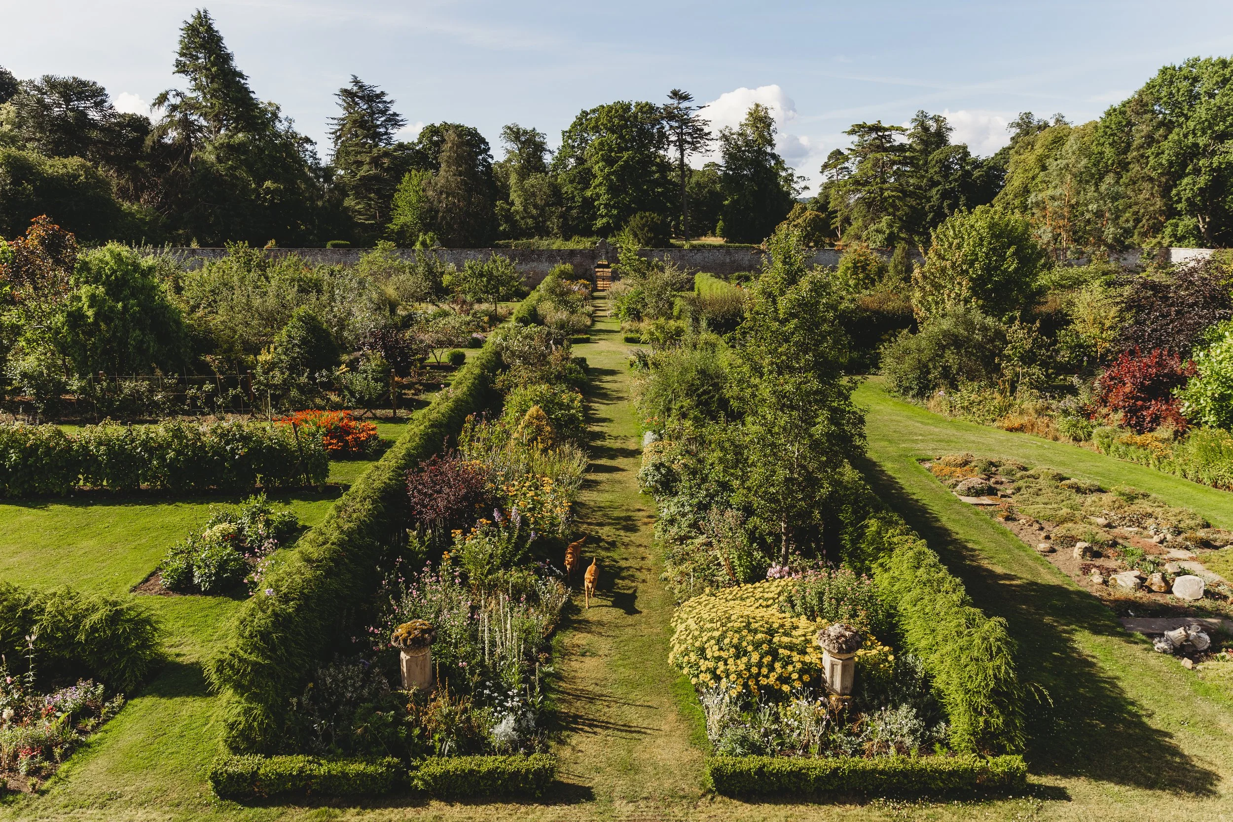 September's Garden Update
