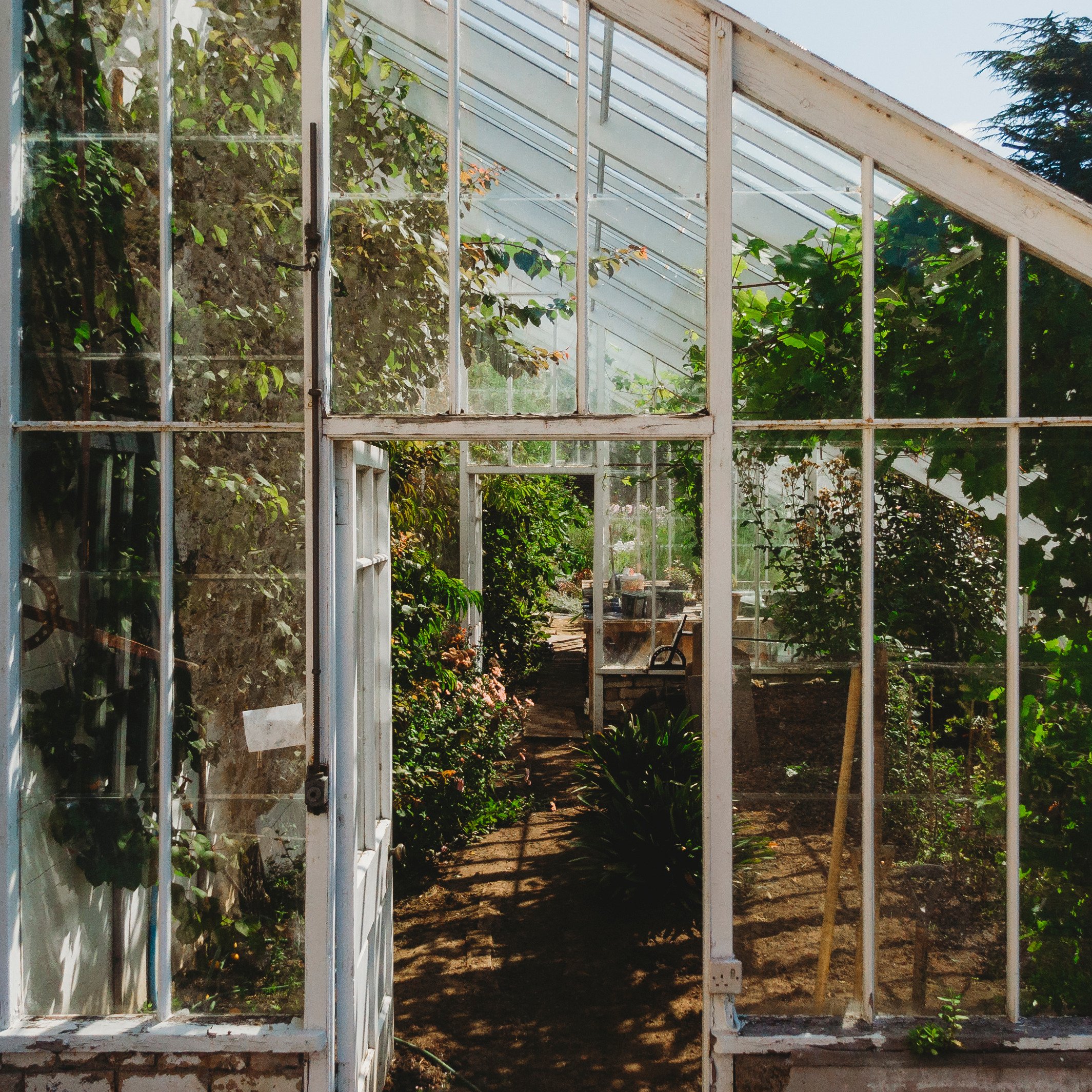 Preston Hall Green House.jpg