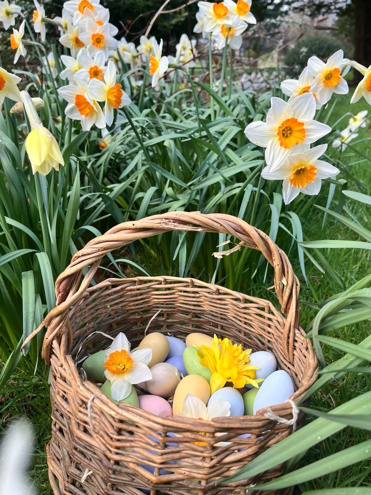 Easter Eggs.JPG