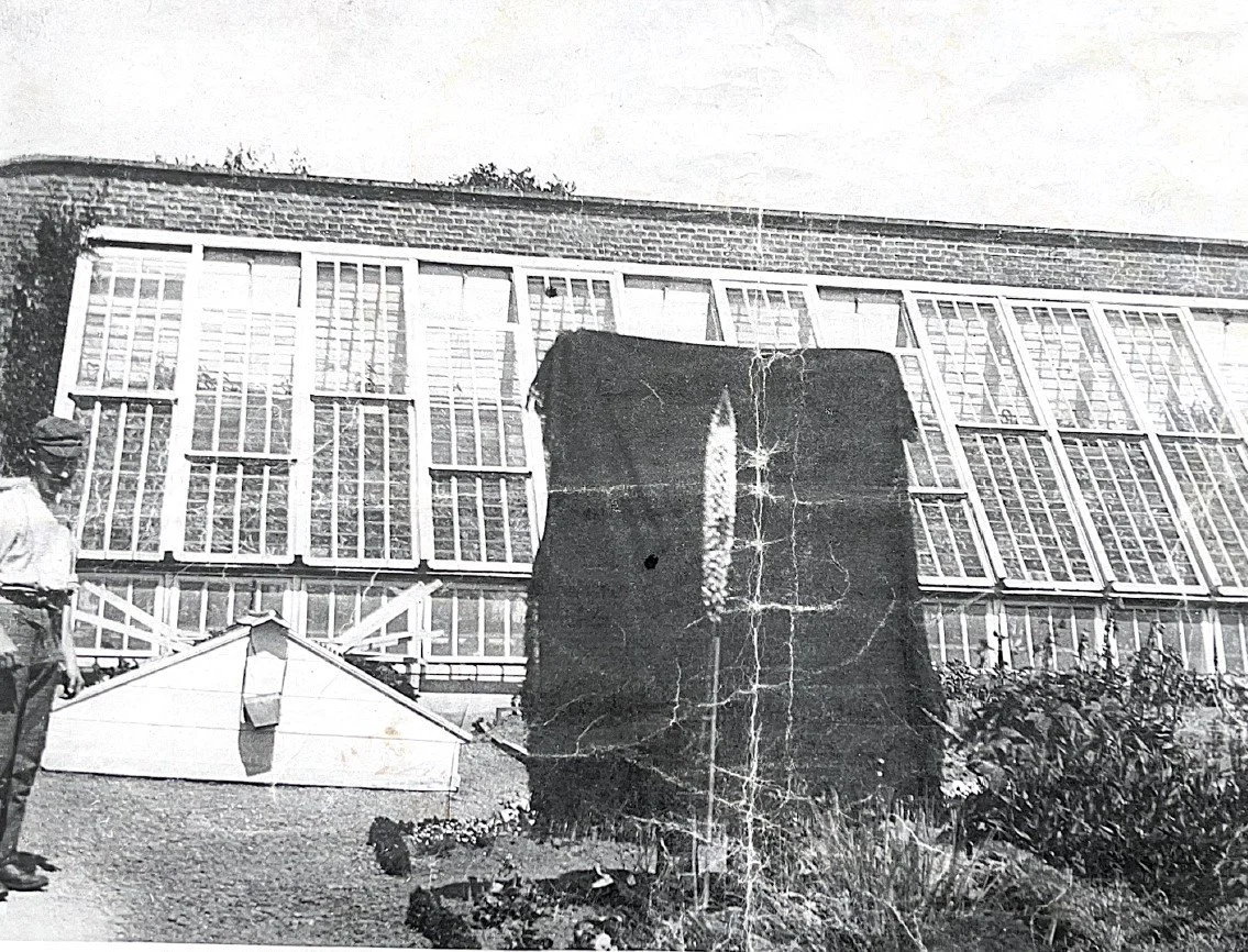 Walled Garden Update