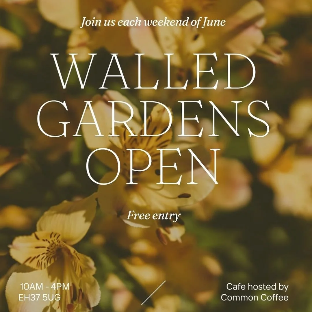 EVENTS | The gardens open this Saturday 7th June! 

We can&rsquo;t wait to welcome you all back to come and enjoy the garden with us. This year it is going to be FREE ENTRY so no excuses not to come and lie under a tree or run around with your childr